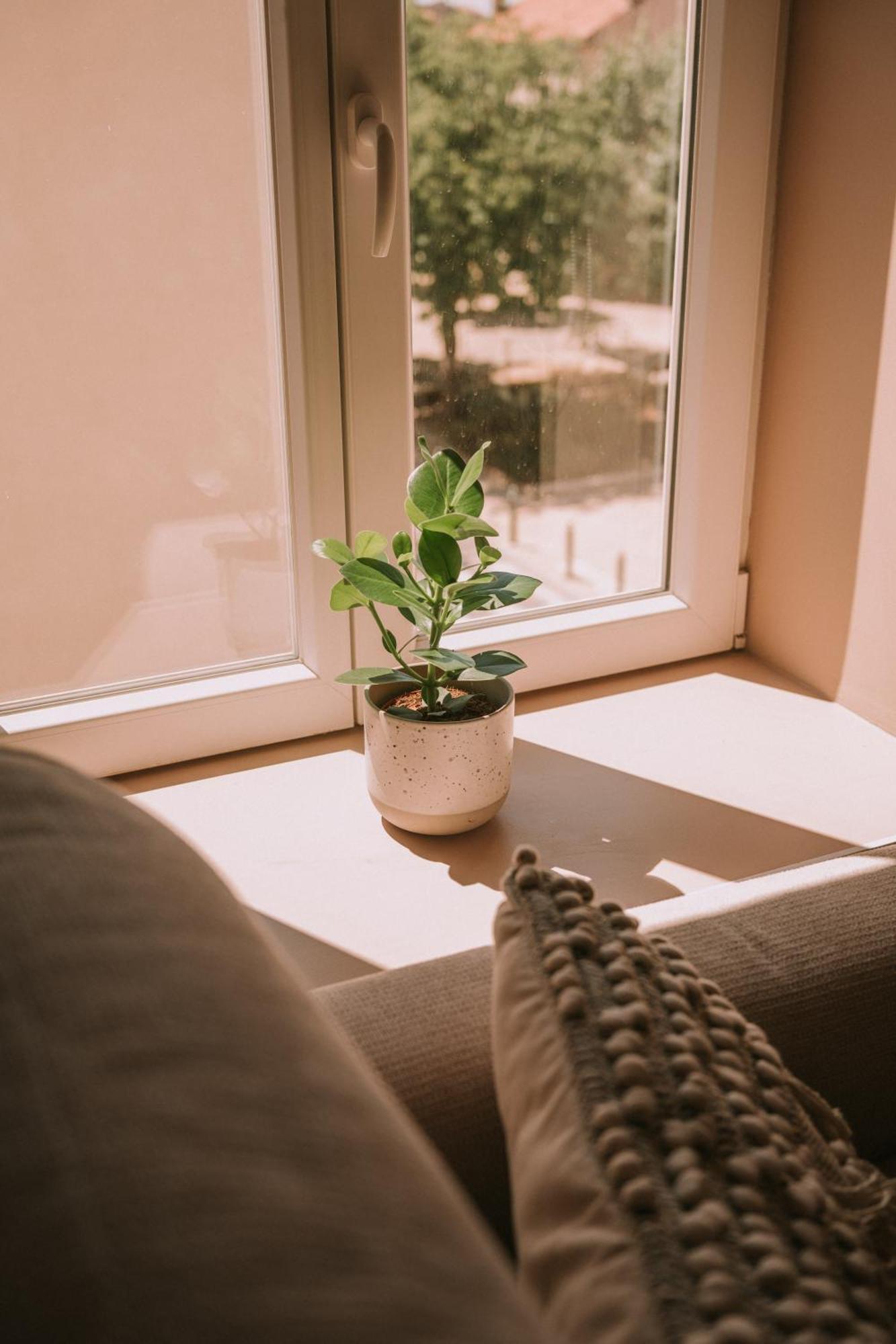 Apartament Quietude-Loft Neuf-Clim & Parking Roquefort-la-Bédoule Zewnętrze zdjęcie